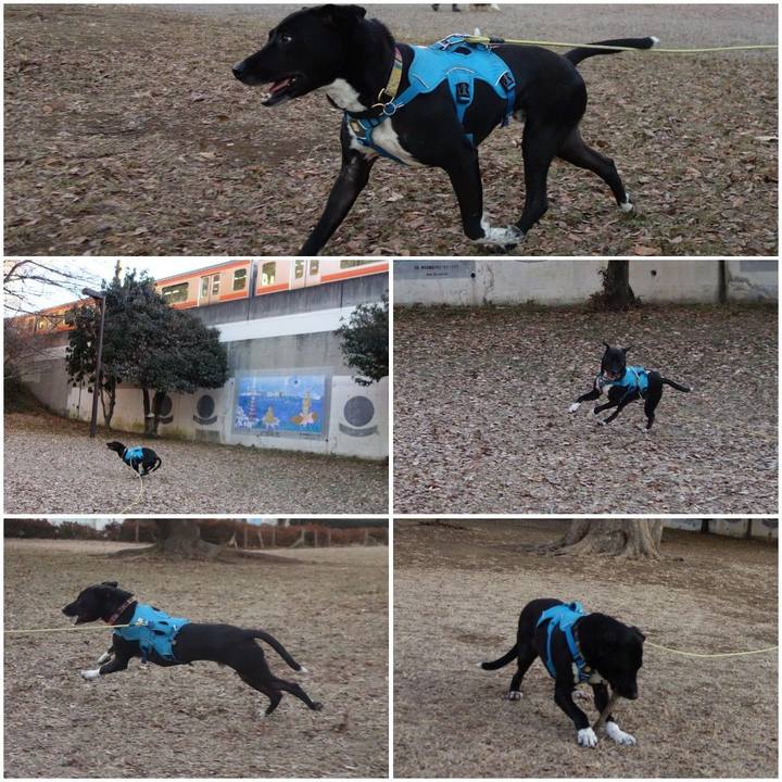 D57073d9 d154 4cee 9d78 867e724a21e0 1610236791098