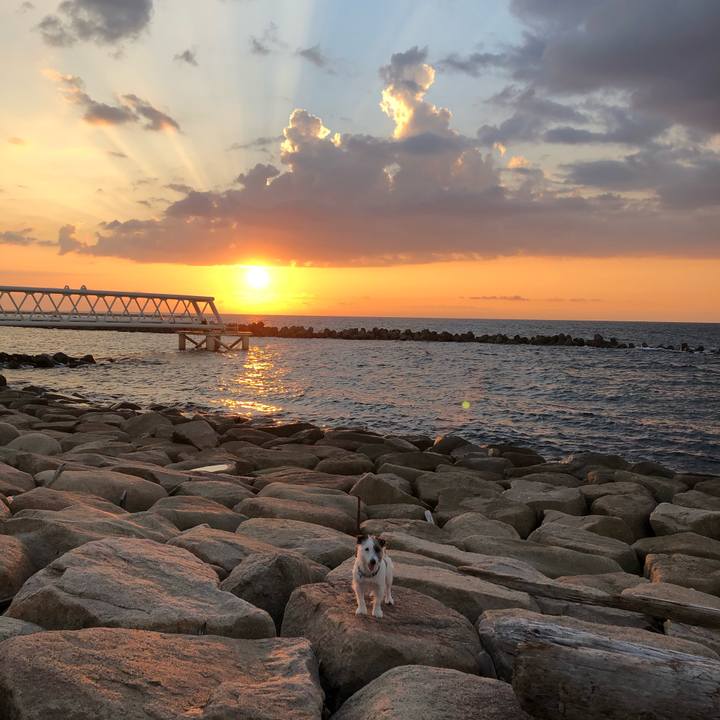 D570761a d412 423b a0b0 b15b0f5da079 1599297205675