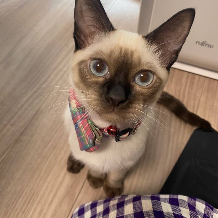 D570899d 21b8 4dd5 98bc a255eea03c55 1754463447510