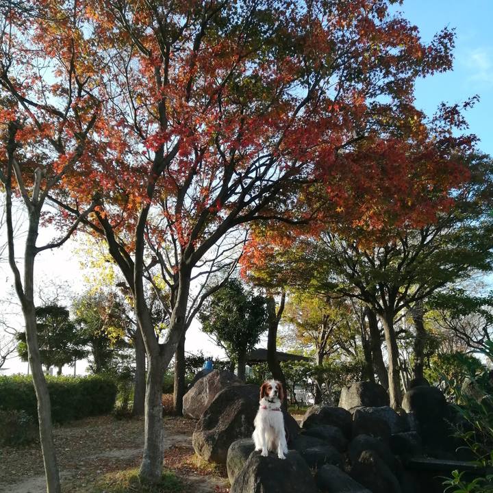 D570a1a8 a283 446c 817a 8ceb0045ce6e 1606822326793