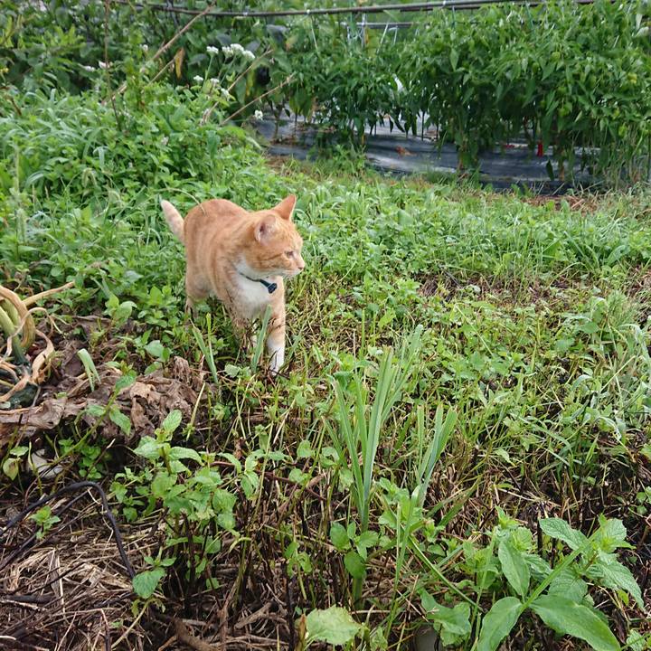 D571104e b7f9 402f a2c1 5c09acb87f8e 1568324536135