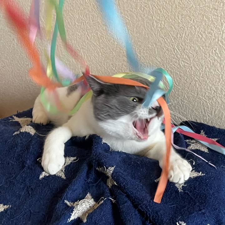 D57111df a1d0 46ca b3f2 42232ab50993 1658303067521