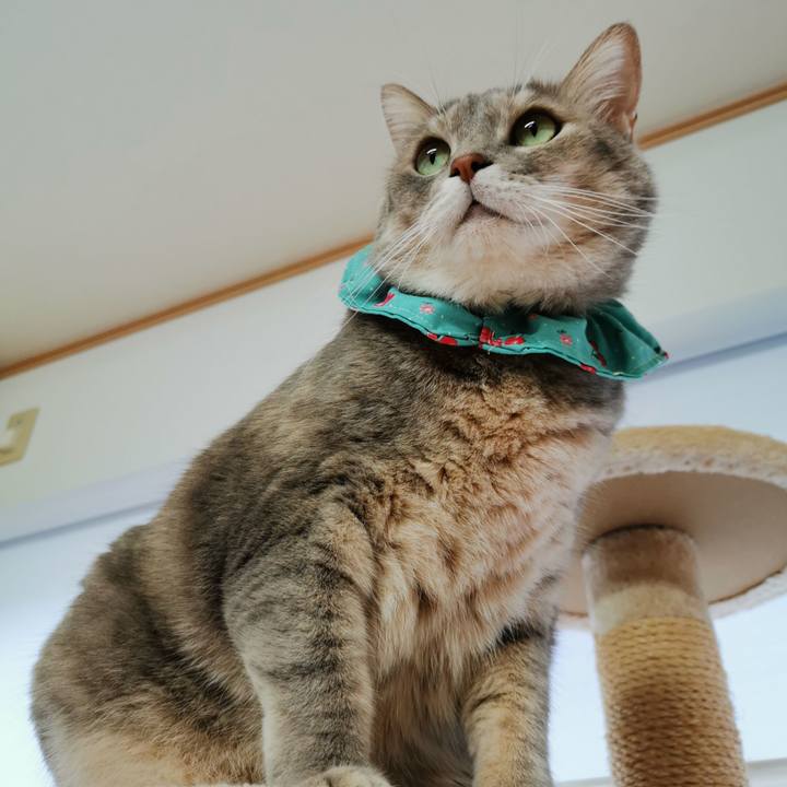 D5711eee 5f67 4ef2 b0ca 22dfc7d87e19 1665116079201