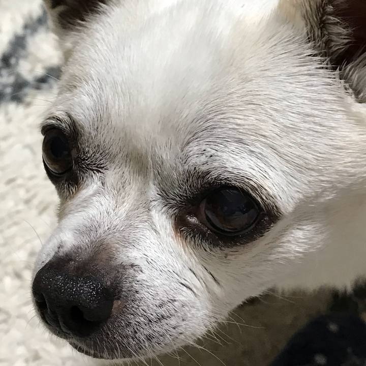 D57156b0 fcc7 49ad ba31 362b768a1b28 1640843892318