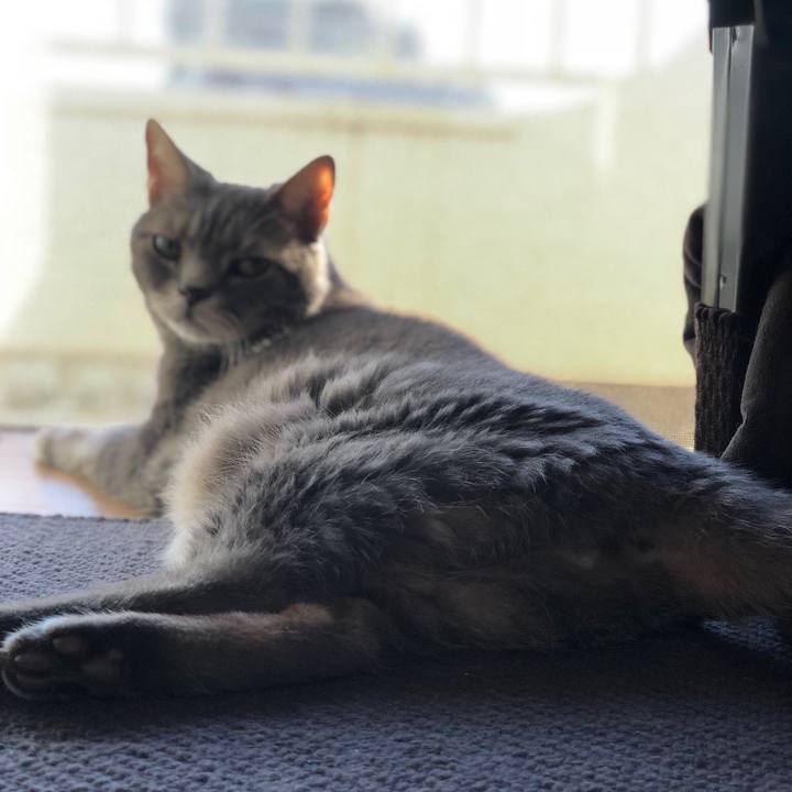 D5715ca8 267c 4e01 b215 3fcbc3c5a757 1538394756104