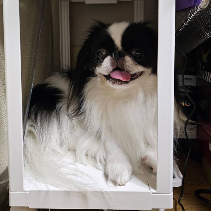 D57166b6 4415 436f 9bf5 4d8d90154fe2 1723358764546