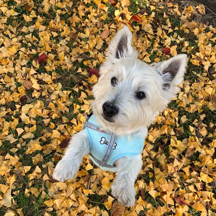 D5717907 027f 4d7c 9d0d e736204aac73 1572881535223