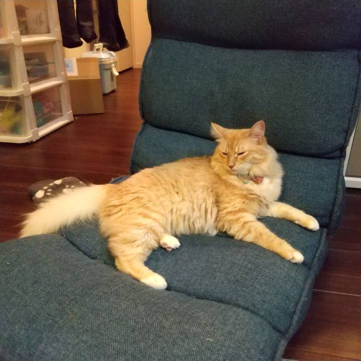 D5718f05 7622 4764 9ea4 44a09a003edc 1634635505635