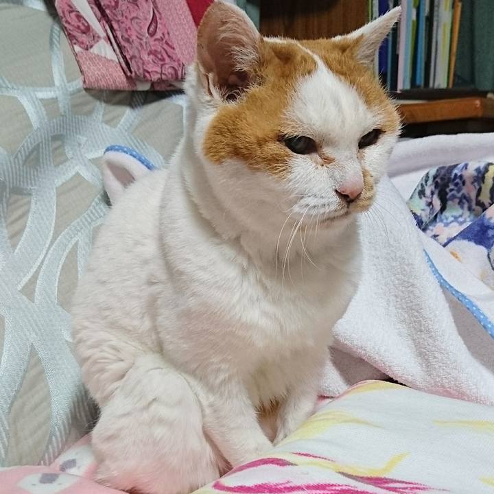 D5719c2e d5b5 4280 9b36 ea31dd994433 1546251732565