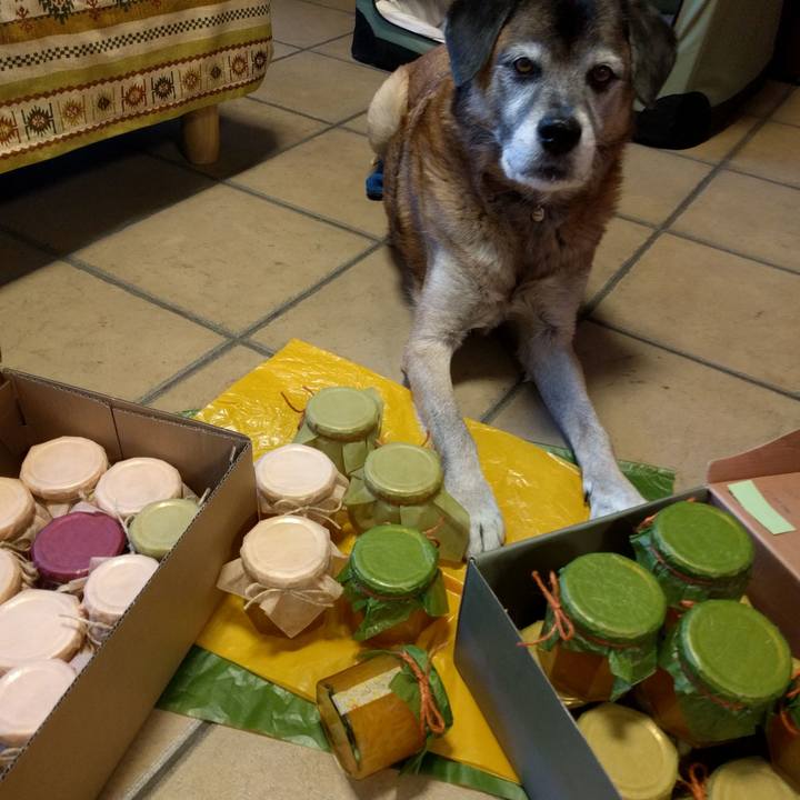 D571a224 a140 4a96 aaaa 10578bf2e680 1544254061763