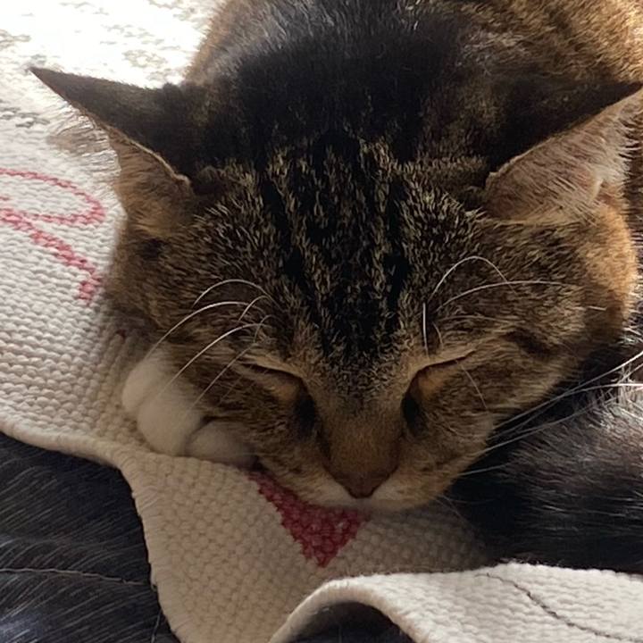 D571c278 b78c 41f2 8bf9 21e7e19cf0e1 1695516384673