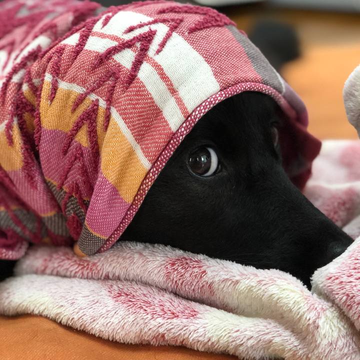 D571dd72 c229 4312 a842 27a2da71a2f3 1606002813694