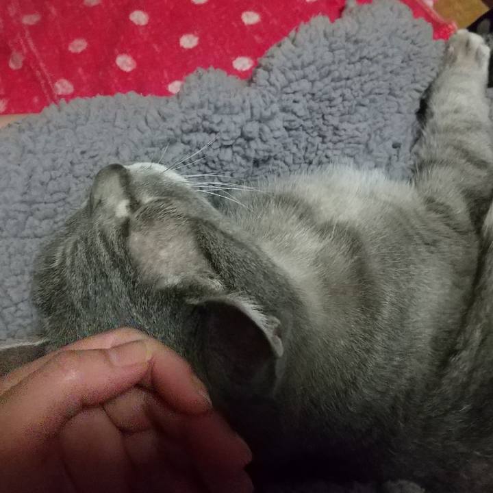 D571f27a e9b6 4e6d af08 1c246d66adda 1682865013563