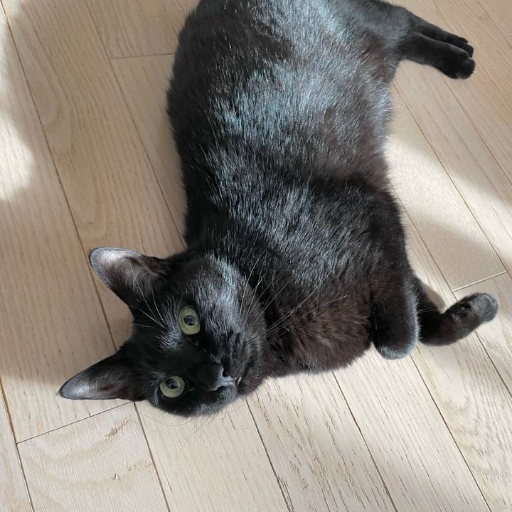 D5720f57 ceba 459f 9c71 039eb770e1af 1652191409541