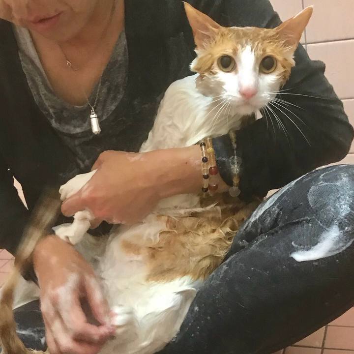 D5722925 46e9 4fe8 8c7a faa53522ef89 1509713696164