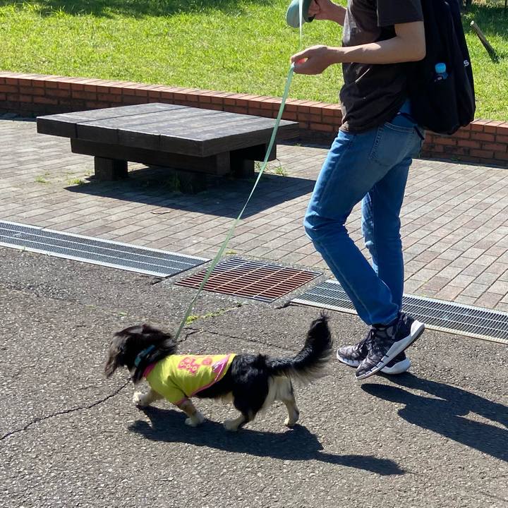 D5723686 524f 473f b518 a774abd5370c 1683081222089