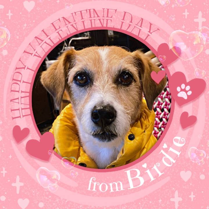 D5724333 4517 4b18 833d 5b379b40bffa 1707918855394