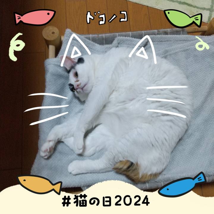 D5727f17 c5a6 48f3 b5cc 9f4792fe3267 1708603290369