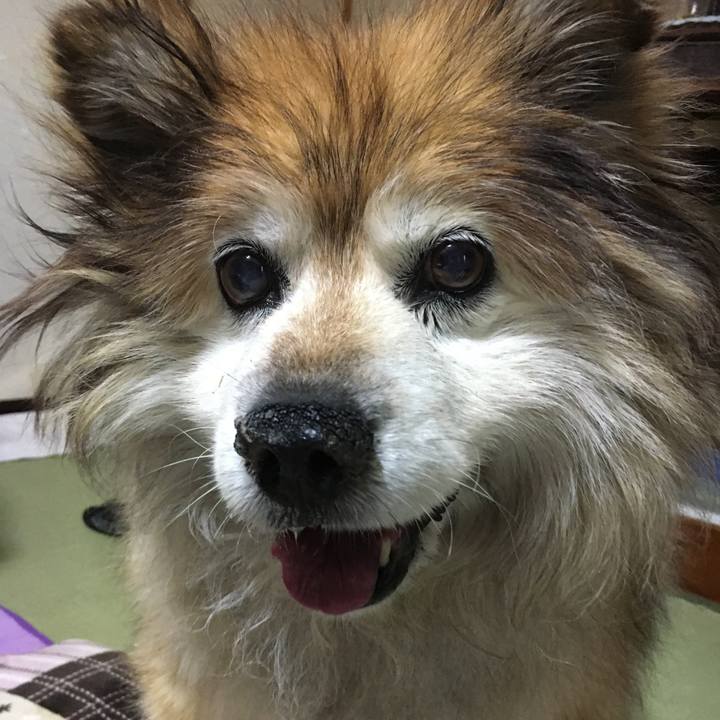 D5728dac 2fbf 4fd8 864e 78c1ba608a43 1554197713872