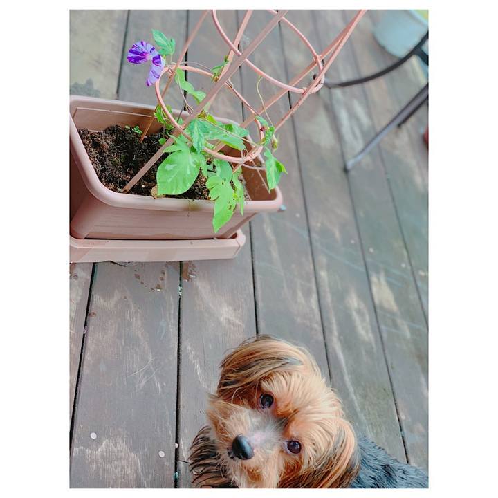 D572a35e 6b81 495d bf89 fb847748cba6 1562976689630