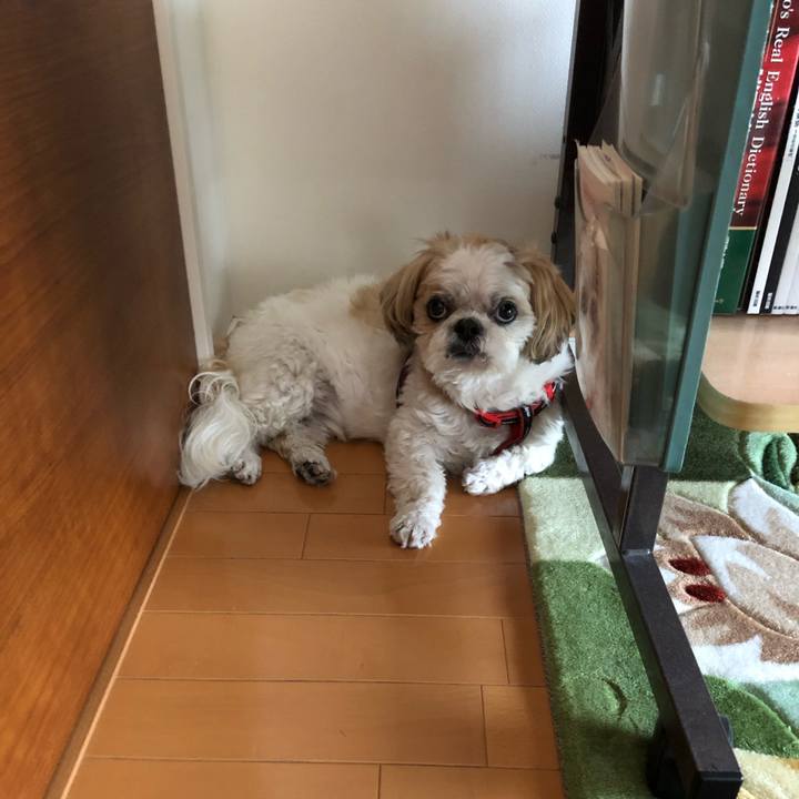 D572eda3 ed7a 4597 9027 104124a20fd1 1560557139291