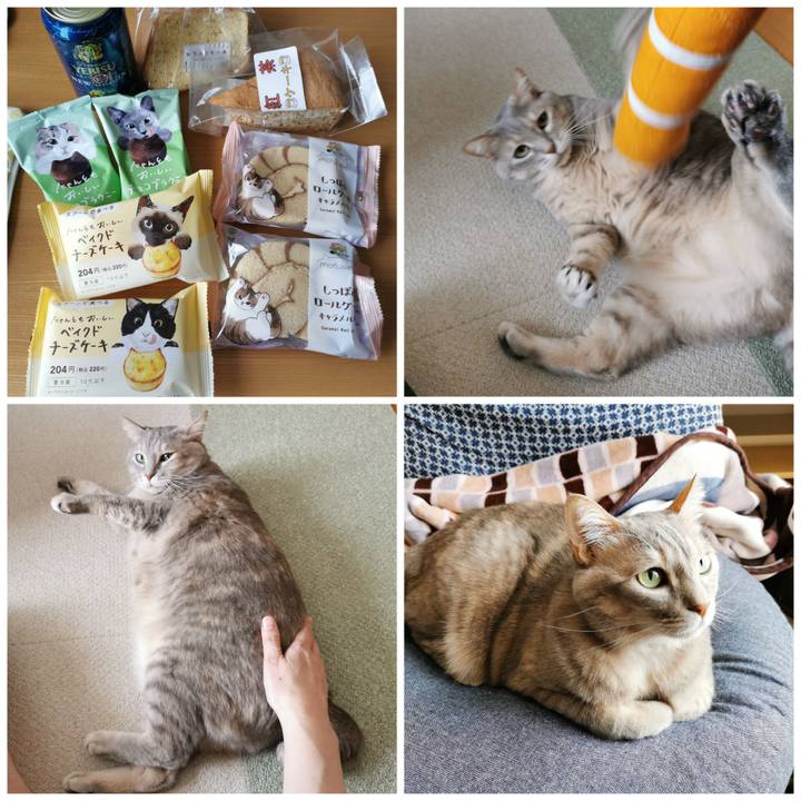 D572ef00 13d7 4ac5 be1d 5f0511438227 1677162827254