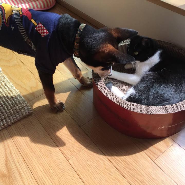 D5731871 b2b0 48fa 8b0e 2d2cb46b1201 1522300643776