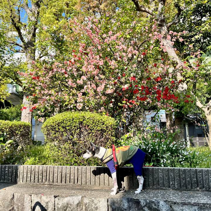 D5732b00 a9d6 460b bf7d 745a2127548e 1649466507230