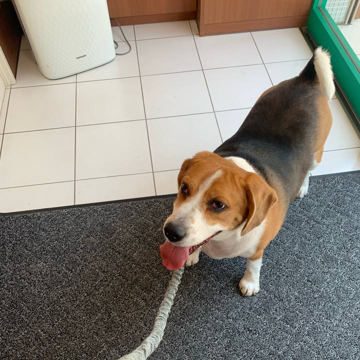 D57335a3 7891 4401 98df f1a47eb0aa62 1652933780814