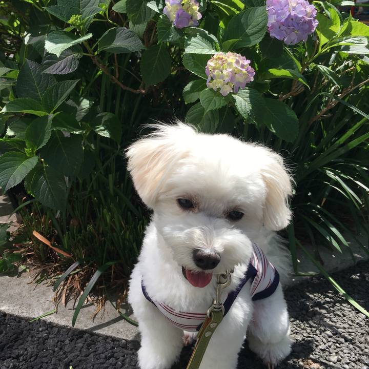 D5738cdc e230 4c1c 85d5 9709ecf85215 1559177164942