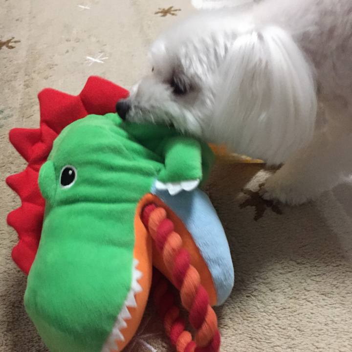 D573afd3 bfd6 4057 959c 2b4f53df2bcc 1563453911478