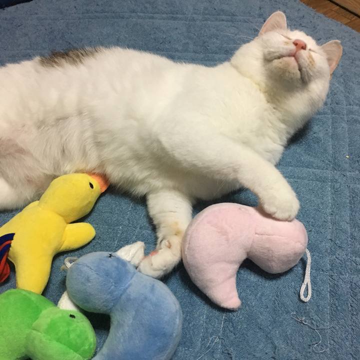 D57400d4 7db3 43e1 ba61 22621c0875a0 1557051014404