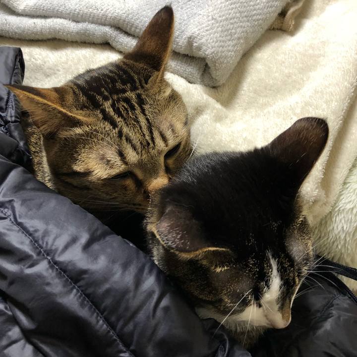 D5741da1 6c86 491b 825a 95da93669313 1523737966692