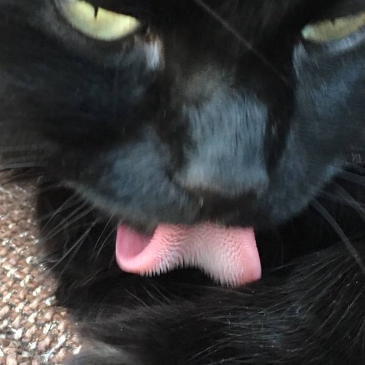 D574409a 6549 4785 865a 1e1516d0b837 1527669802136