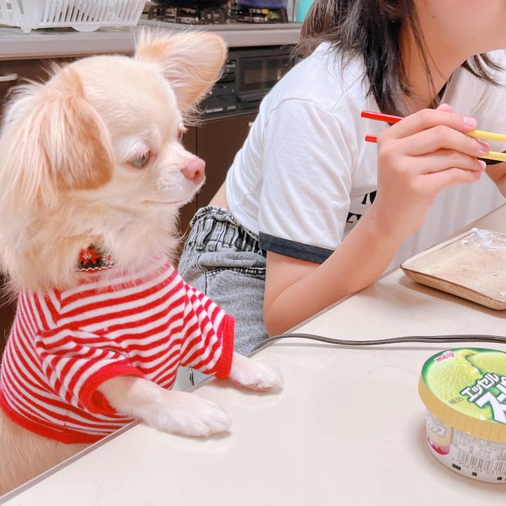 D5745a56 86c9 40f7 90d9 4478b5c3fb85 1658925691389