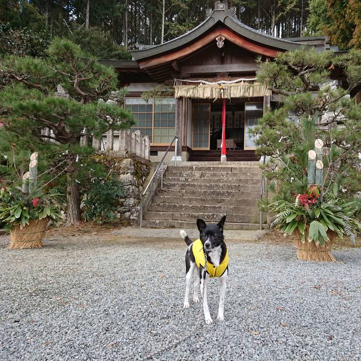 D574659d a4d1 44bf 80c5 5a141634d39f 1514875495135