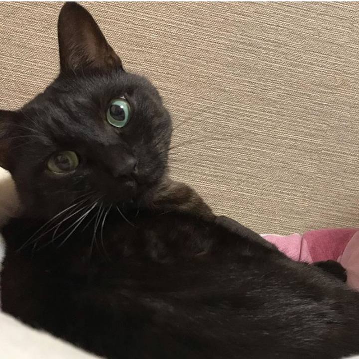 D5746726 8259 4c5f 9c16 d55d7b644823 1605407753601