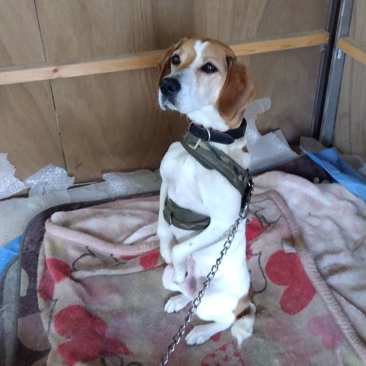 D5748187 8873 4631 abad 5d593b422ced 1686882738690