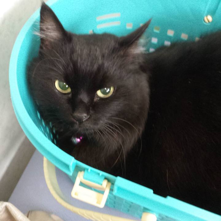 D5748f4a 3565 41da 821c 20231f8ce966 1518738224838