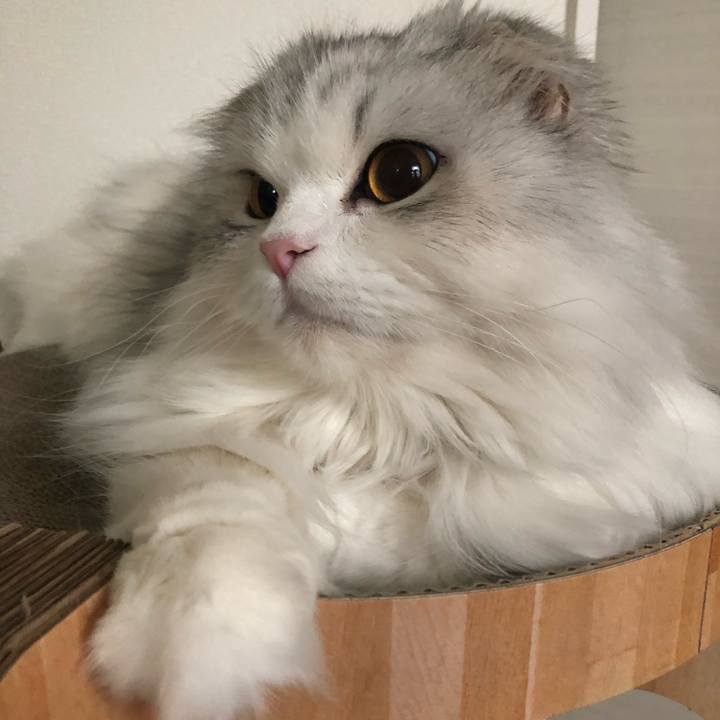 D574f9ae 9008 4e9b a6ac f41b7e239af0 1652047484693