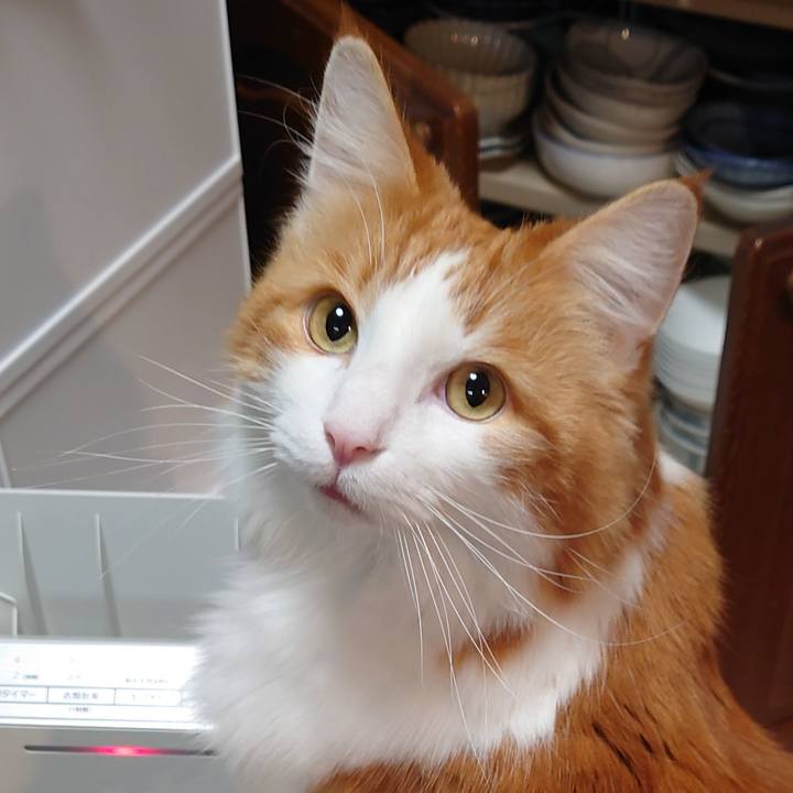 D5753f2c 0330 492a 84da 276628c7e4aa 1640947114683