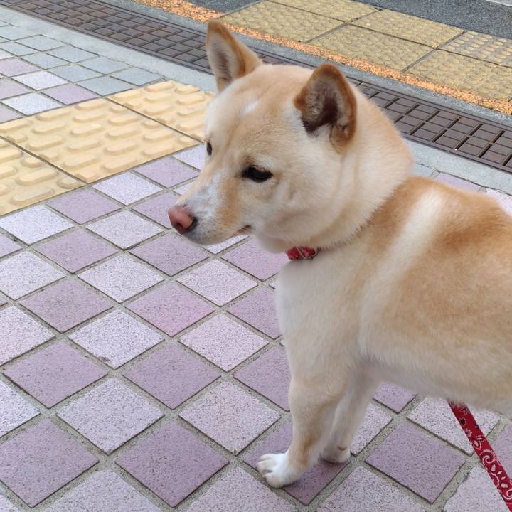 D575ab13 13e2 43f1 99fc 0b8b83952afc 1521109532367