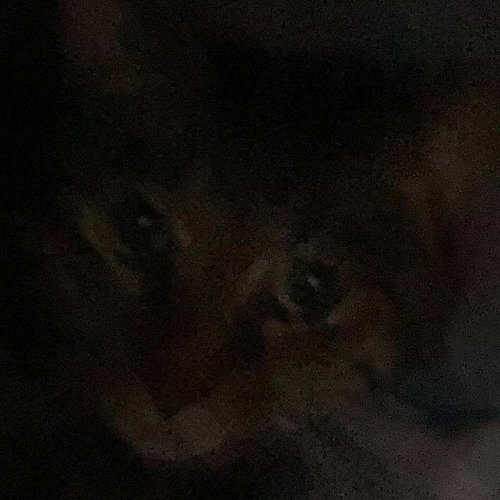 D575dd19 7598 4cdd 8a3f d19bf45b331f 1608647506536