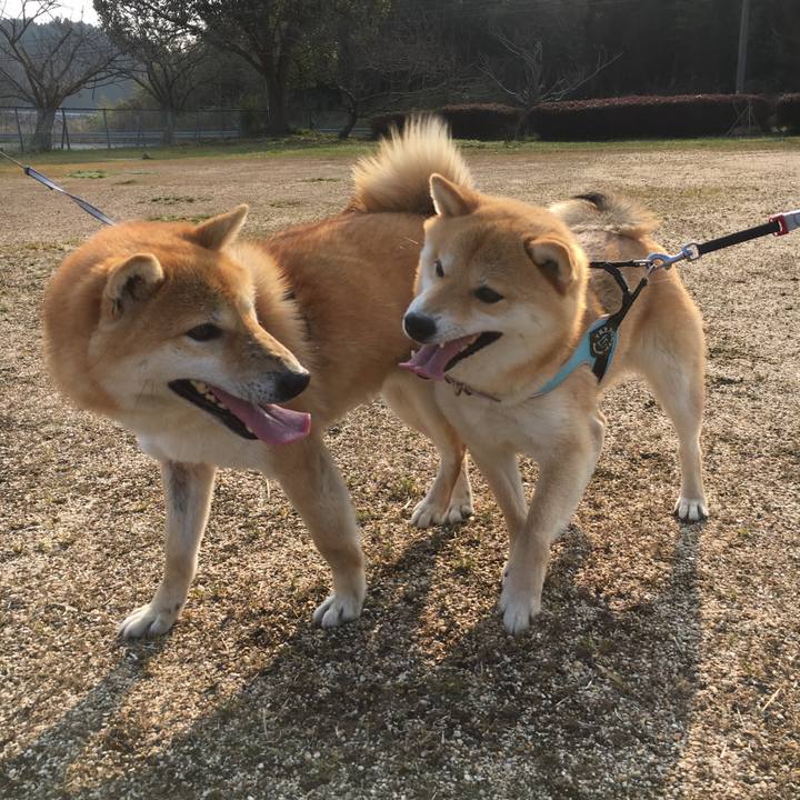 D57624e8 fb4f 44b4 8505 de8b65fa2455 1522053397980