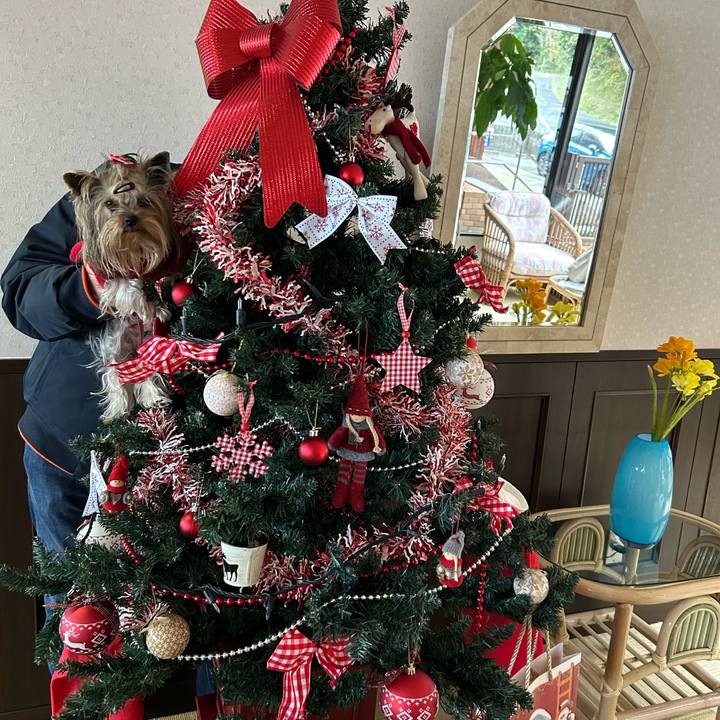 D5762fc9 3563 4ef2 83a9 61b1ee0c6e9a 1671882019271