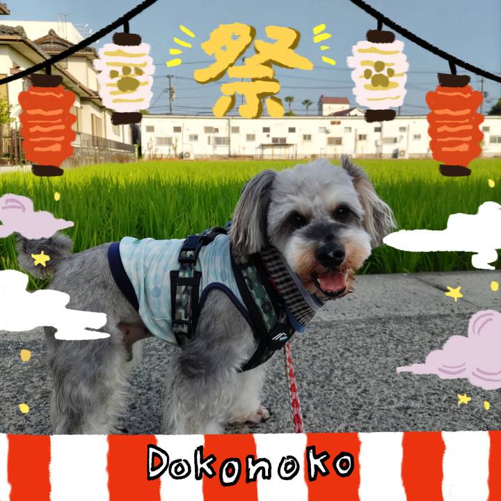 D5764106 257e 41c4 a331 7b625ea6a090 1723181949346