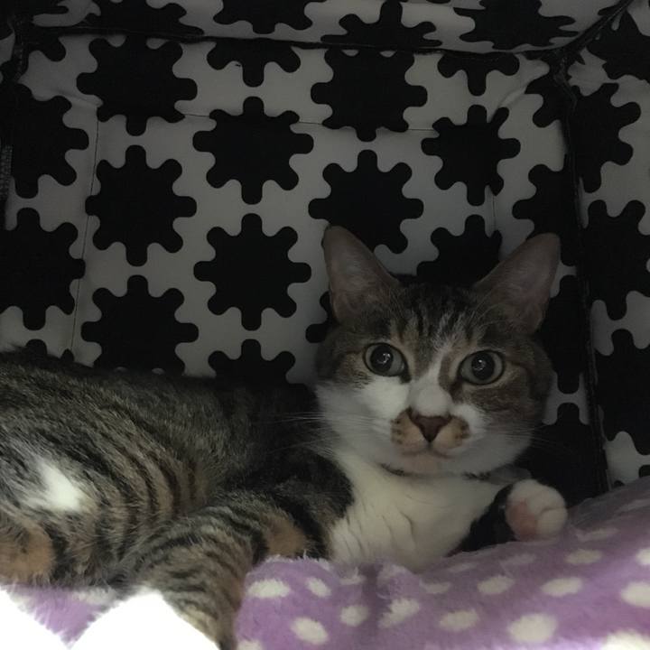 D576485f 7797 4c24 a77b eb4c6909be85 1515307720564