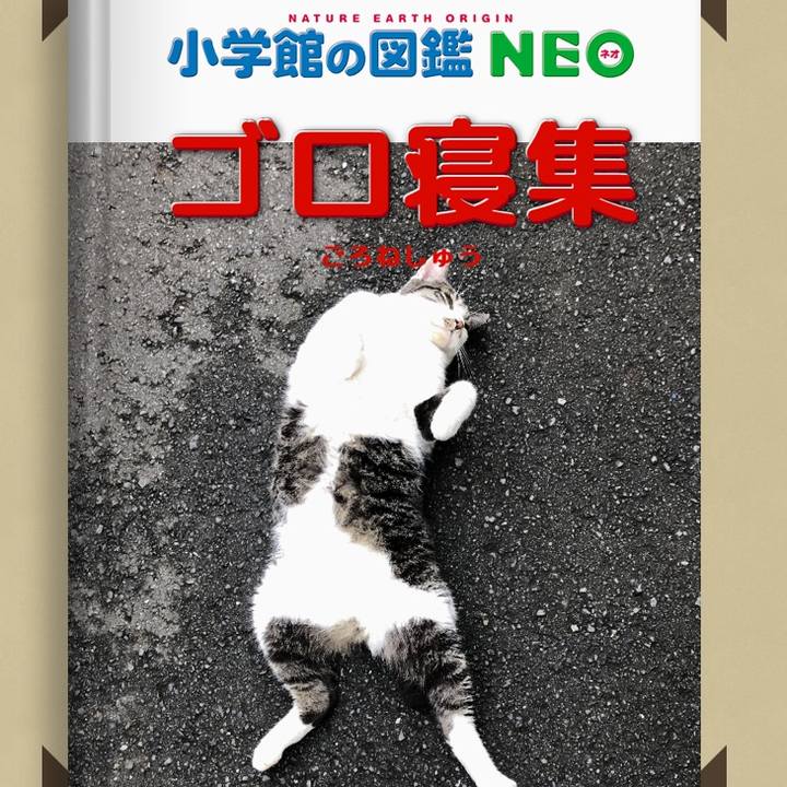 D5766de7 2bd8 4d79 81f5 43e57064726f 1578390427914