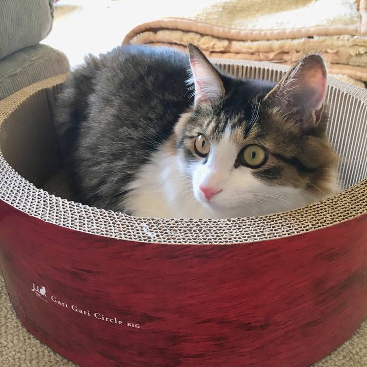 D5769cf8 8386 406f b06e 79df69bd8672 1510376642480