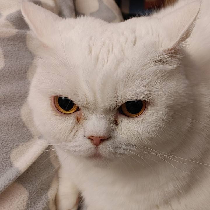 D576a433 8979 483d 9d57 066dfe3502bf 1616791722742